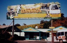 The Big Banana